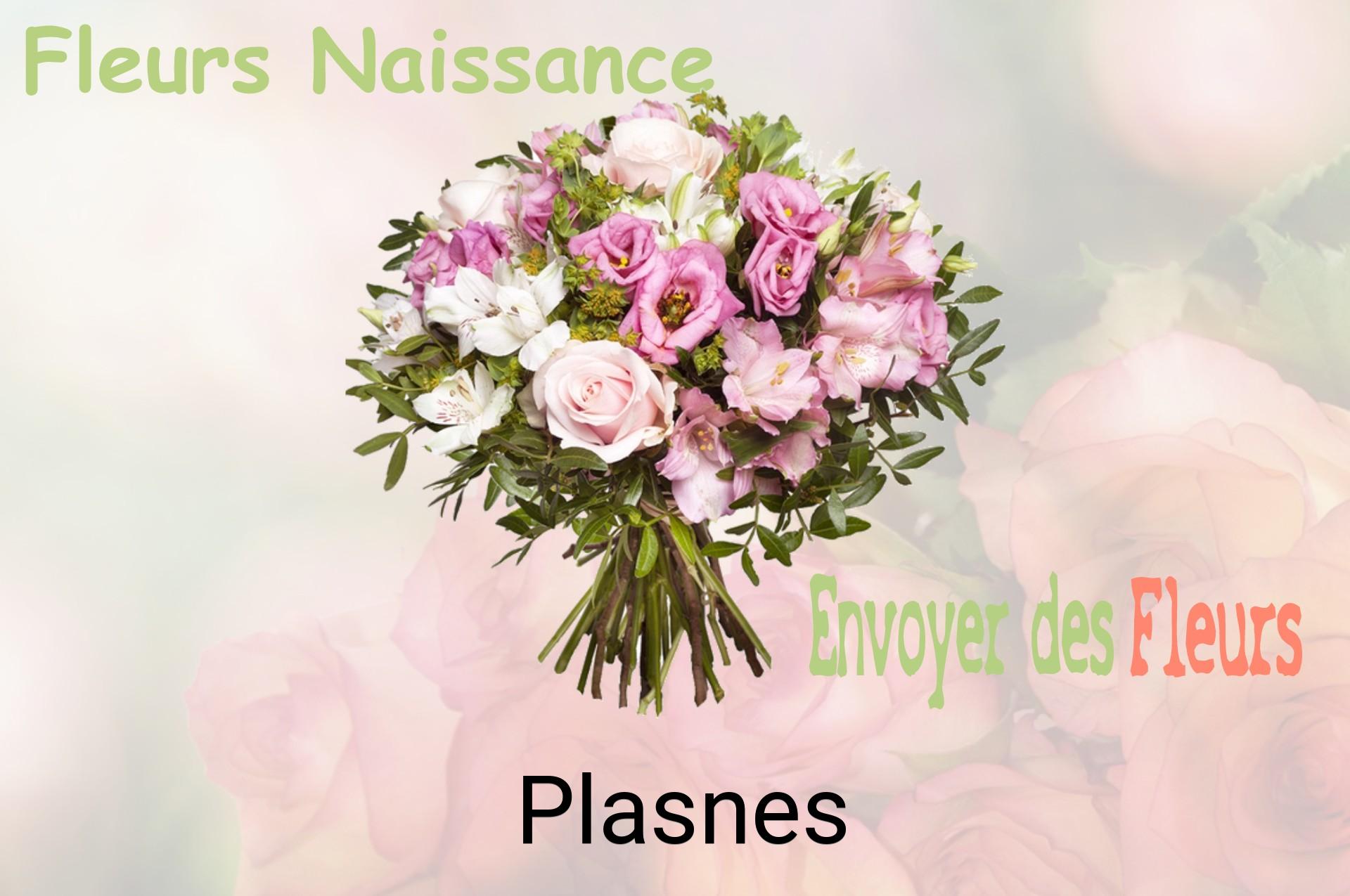 Bouquet de fleurs de naissance livré à Plasnes