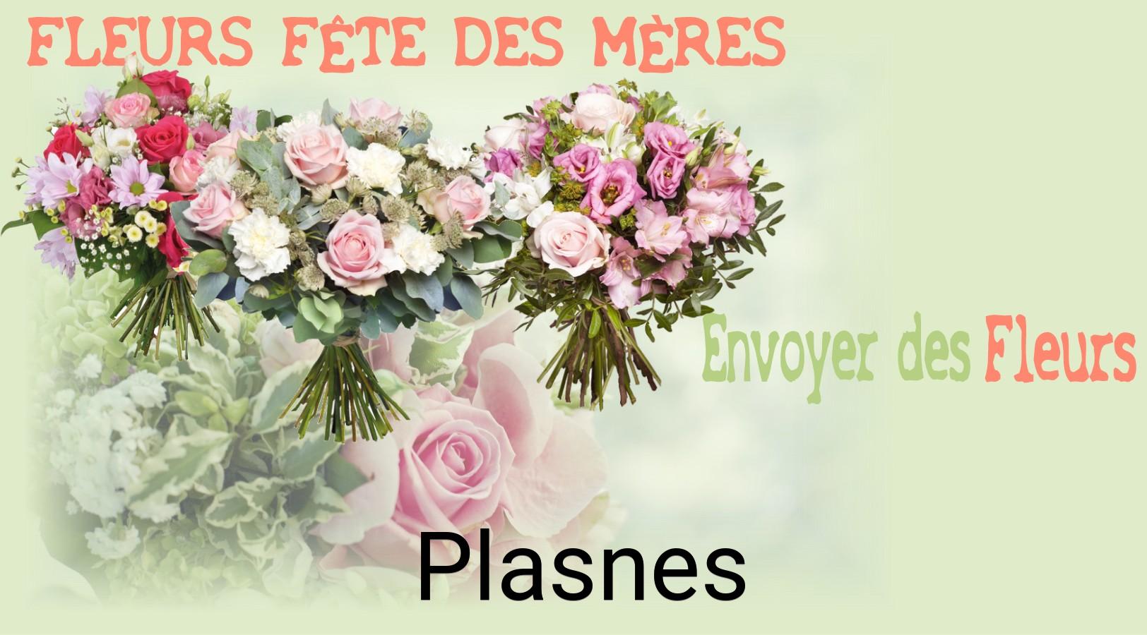 Bouquet de Fête des Mères livré à Plasnes